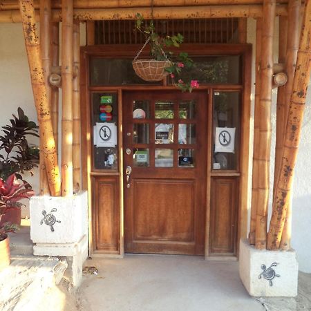 La Tortuga Hostel Taganga Eksteriør billede