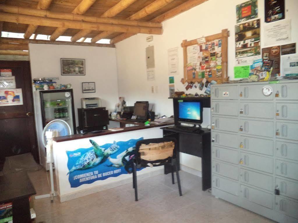 La Tortuga Hostel Taganga Eksteriør billede